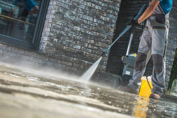 Best Graffiti Removal  in Lapeer, MI