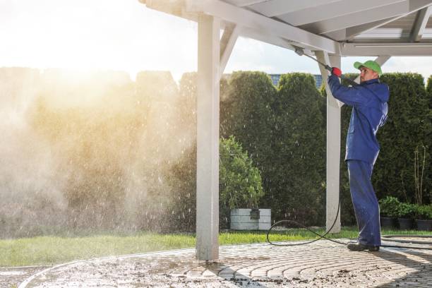 Best Animal Enclosure Cleaning  in Lapeer, MI